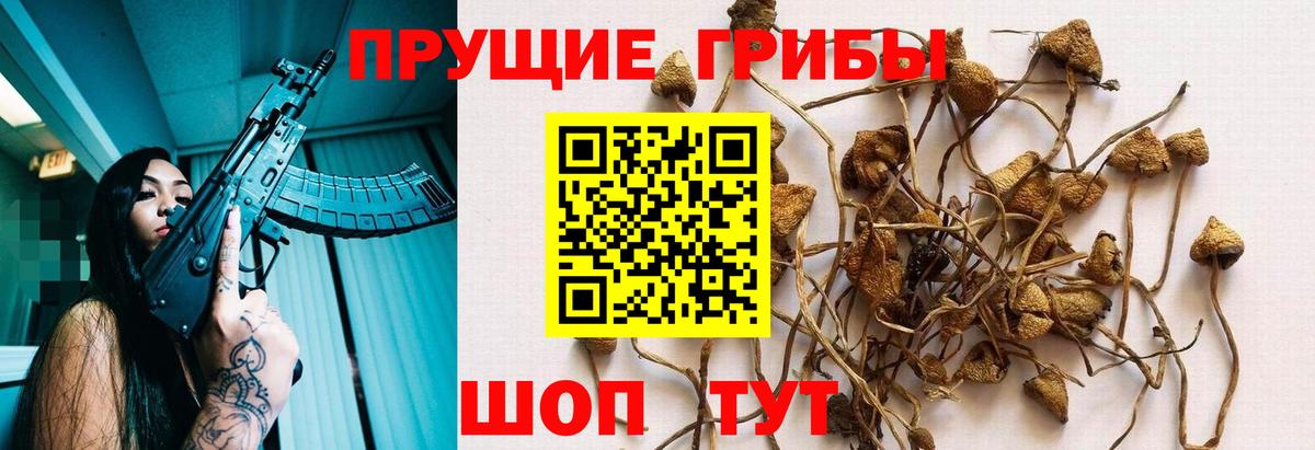 Галлюциногенные грибы мухоморы Долгопрудный