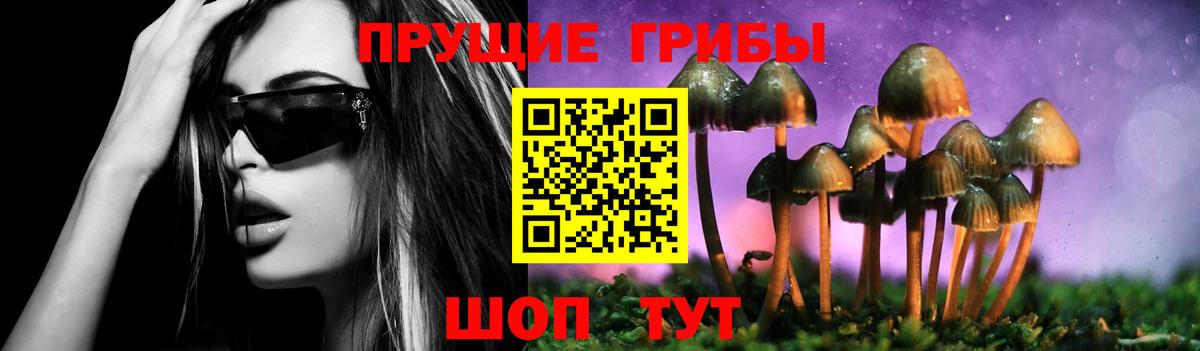 Галлюциногенные грибы MAGIC MUSHROOMS  Вход с VPN  Галлюциногенные грибы GOLDEN TEACHER  Долгопрудный 