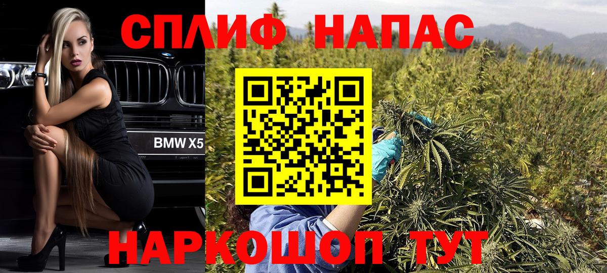 Шишки марихуана MAZAR Долгопрудный